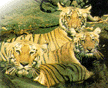 Wild Life